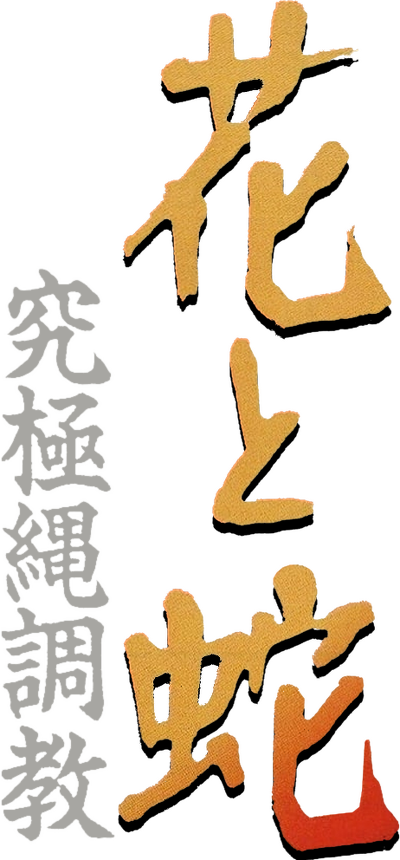 enlarged Logo 0