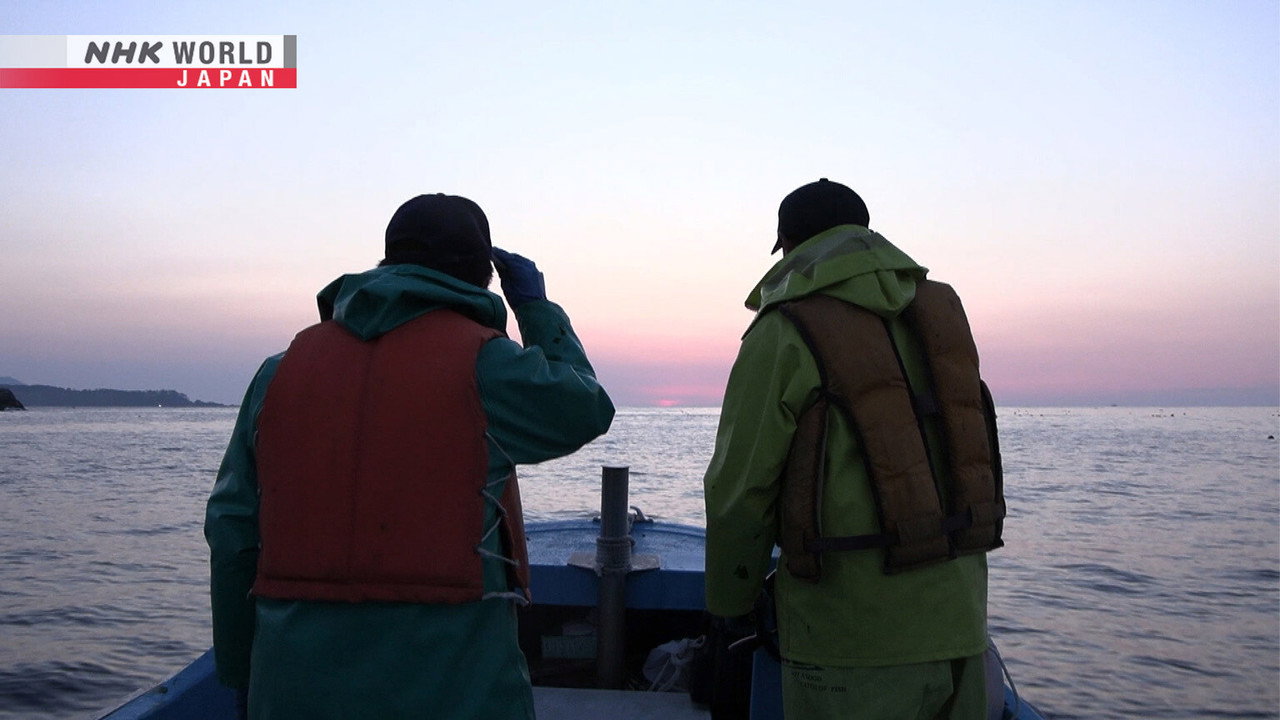 A Rookie Fisher & His Grandpa in the Sanriku Seas