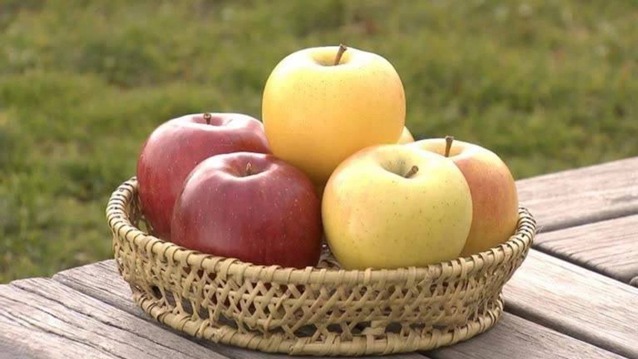 Apple