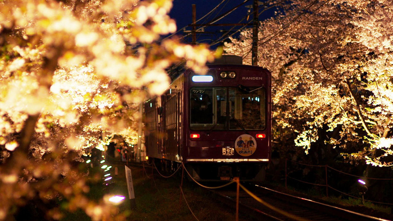 Spring in Kyoto: A Trip on a Little Local Train