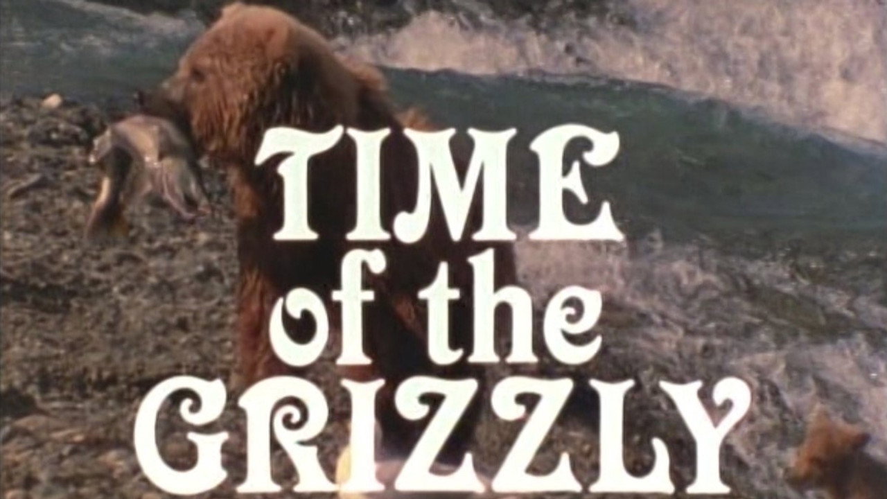Time of the Grizzly