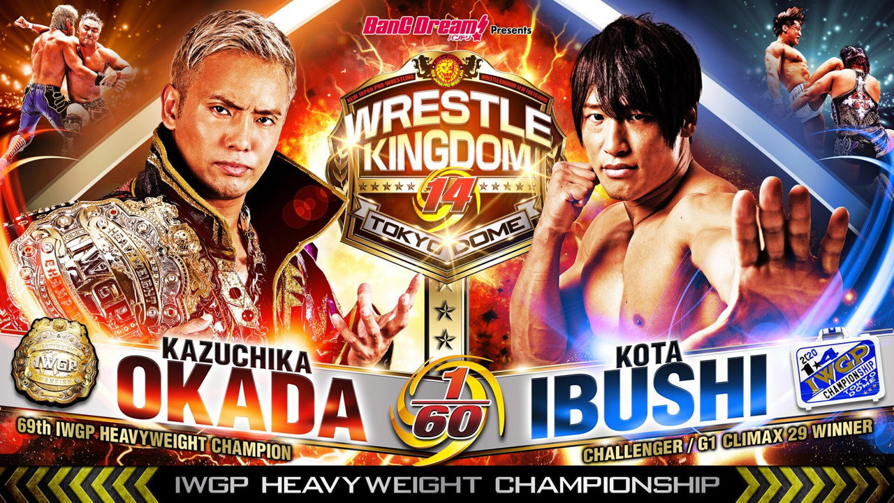 backdrop NJPW Wrestle Kingdom 14: Night 1
