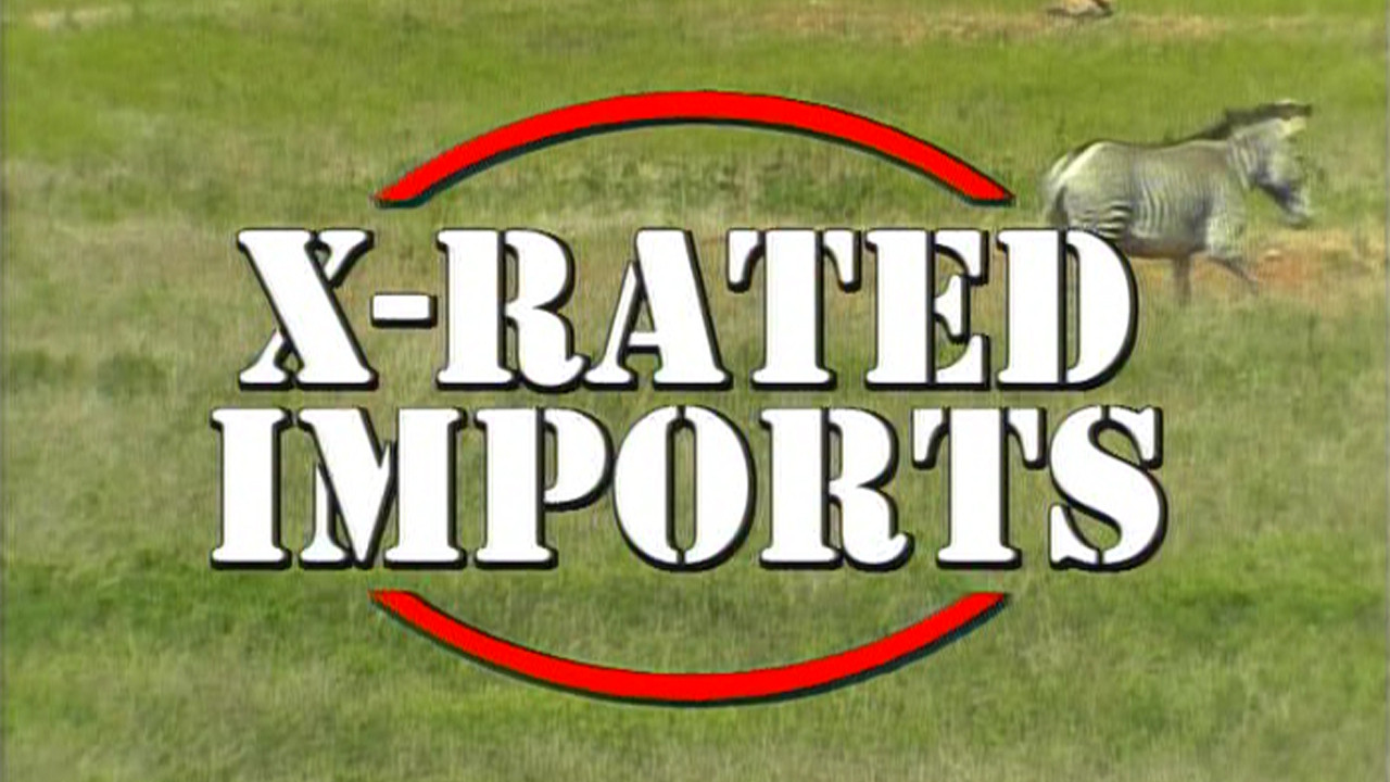 X Rated Imports