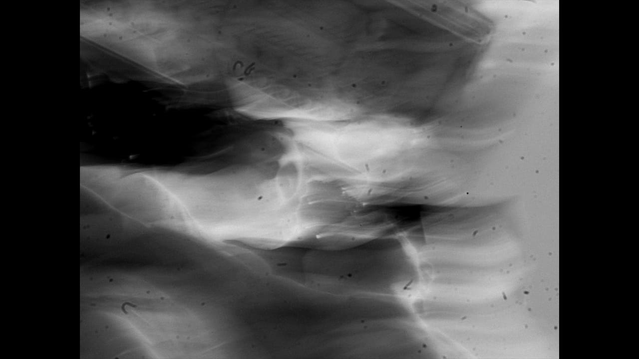 El triunfo de la Muerte backdrop