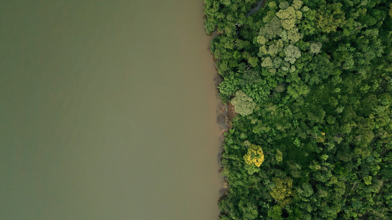 backdrop DAMS AMONG US
