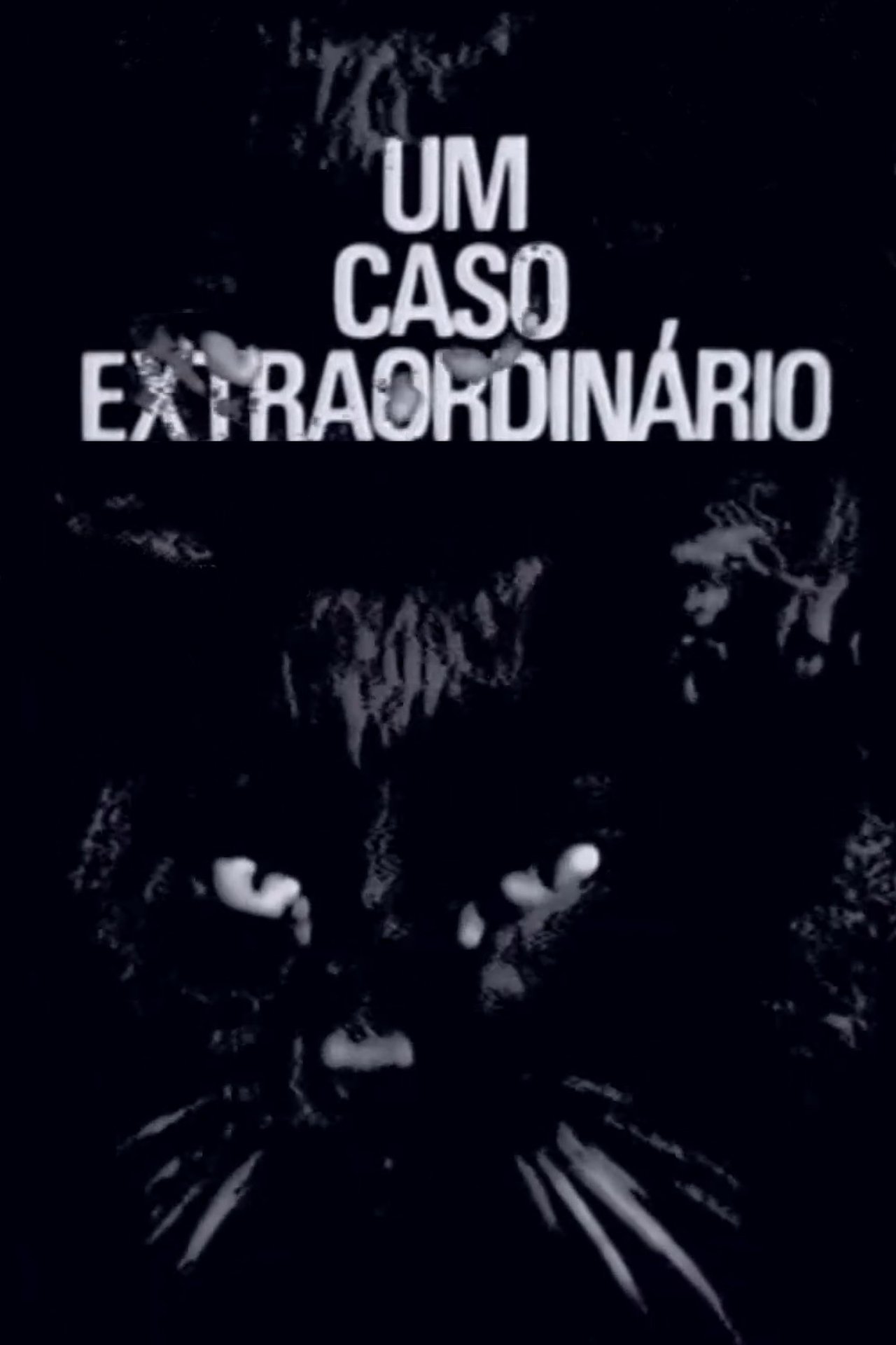 enlarged Poster 0