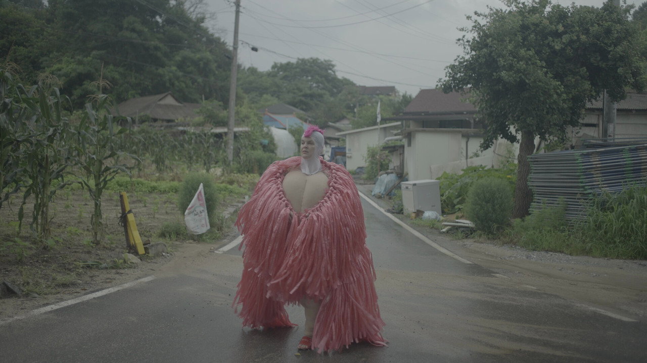 backdrop Becoming Kim