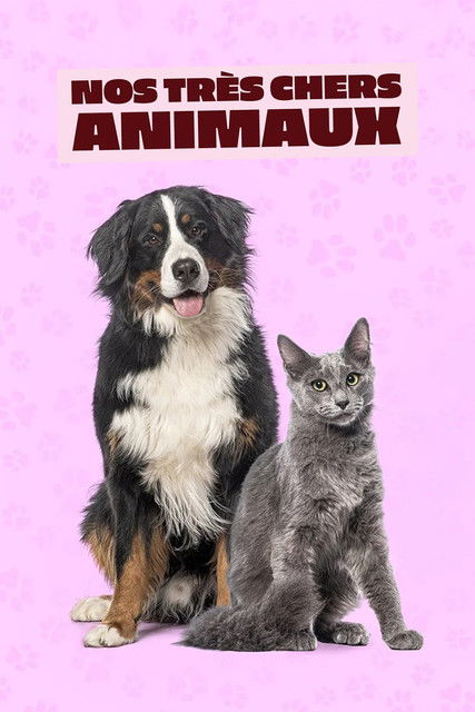 Nos très chers animaux