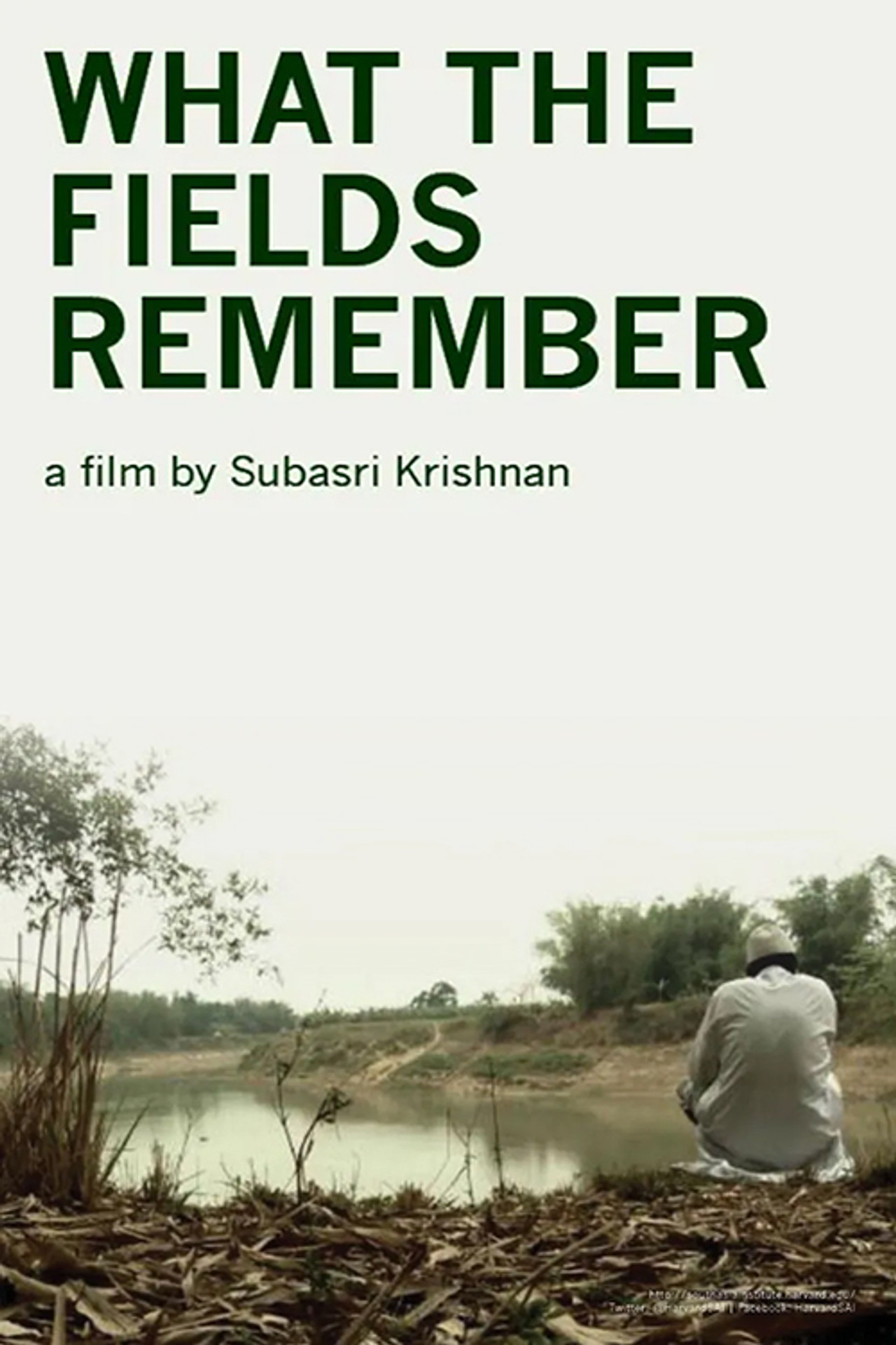 What the Fields Remember