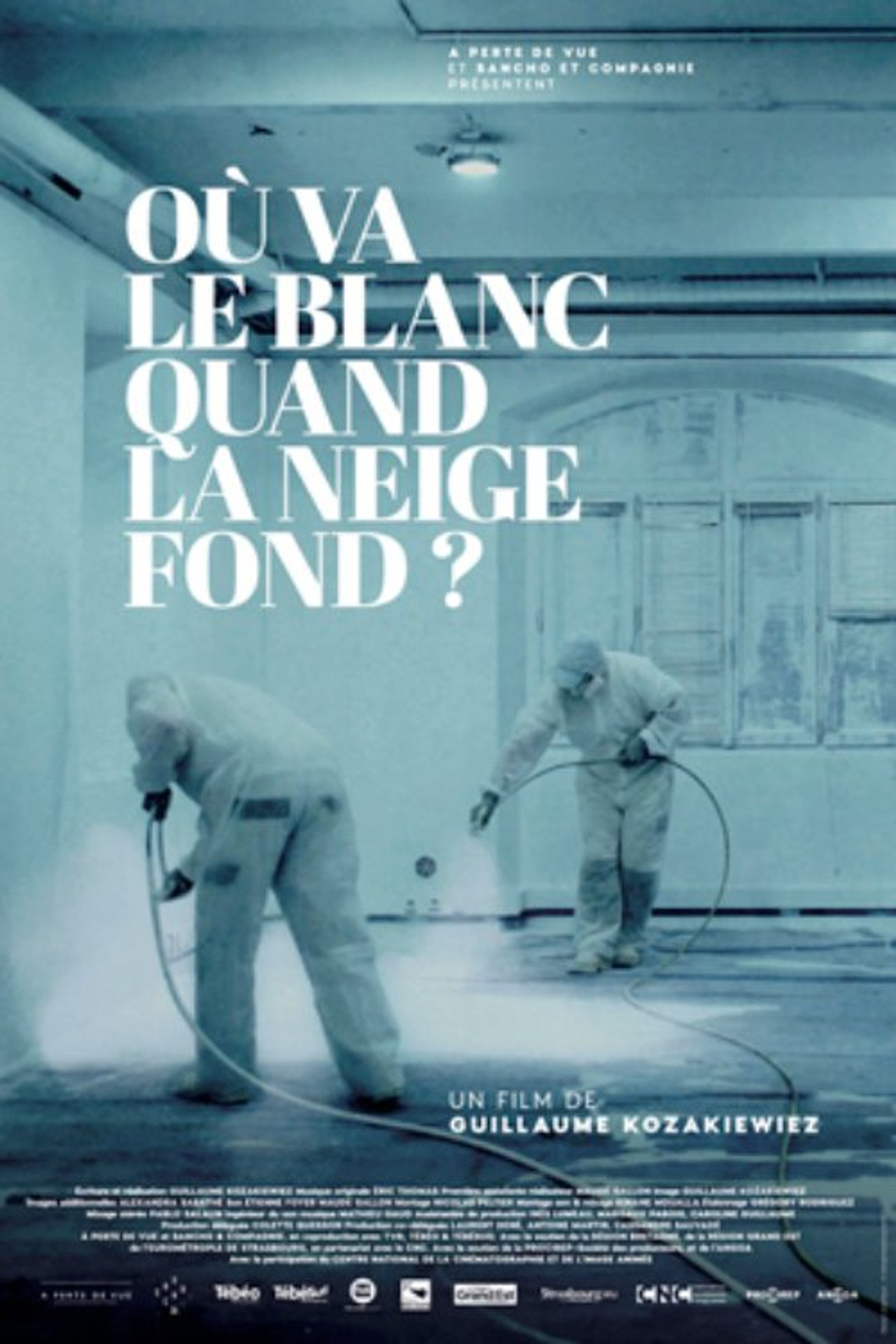 Où va le blanc quand la neige fond