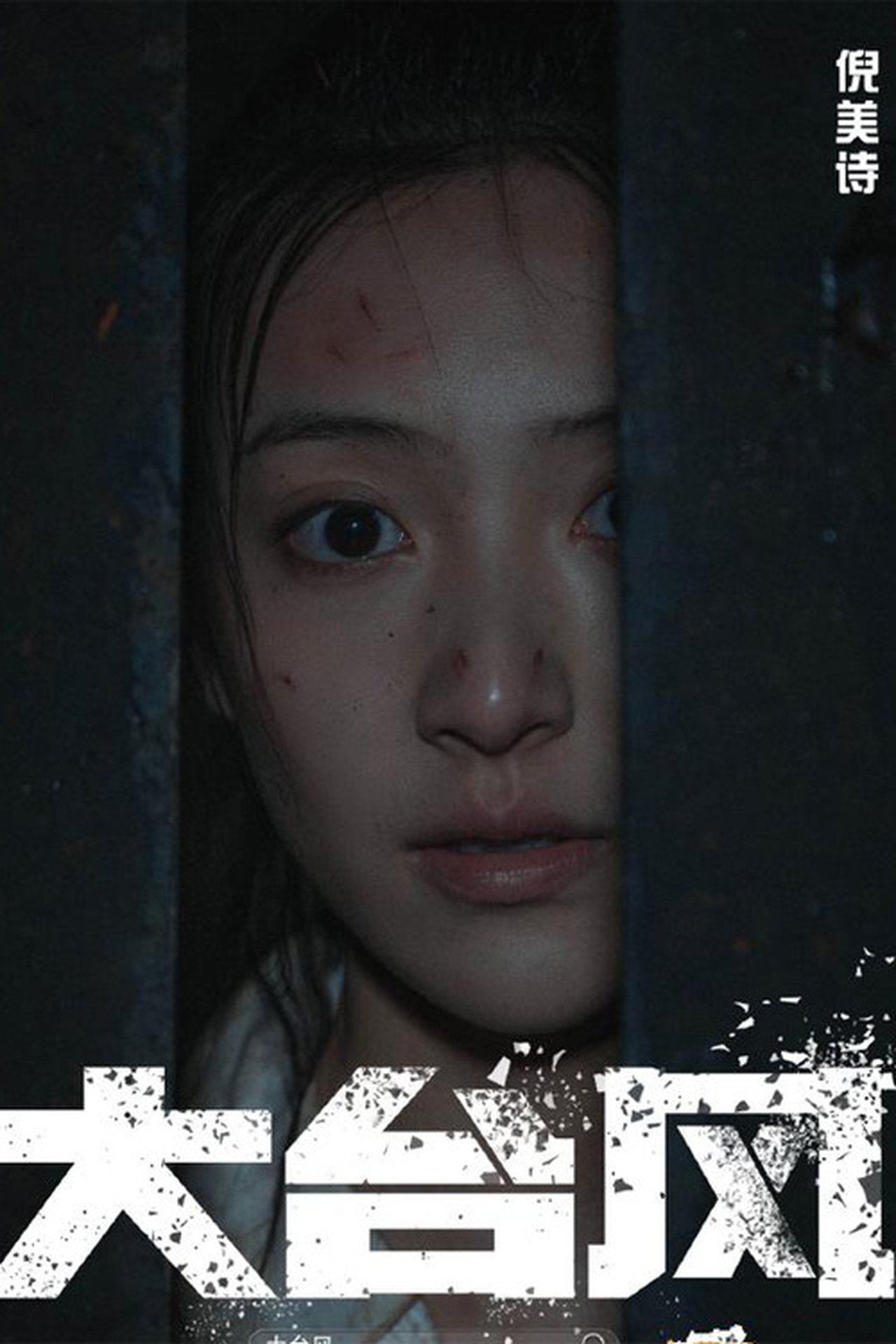 enlarged Poster 0