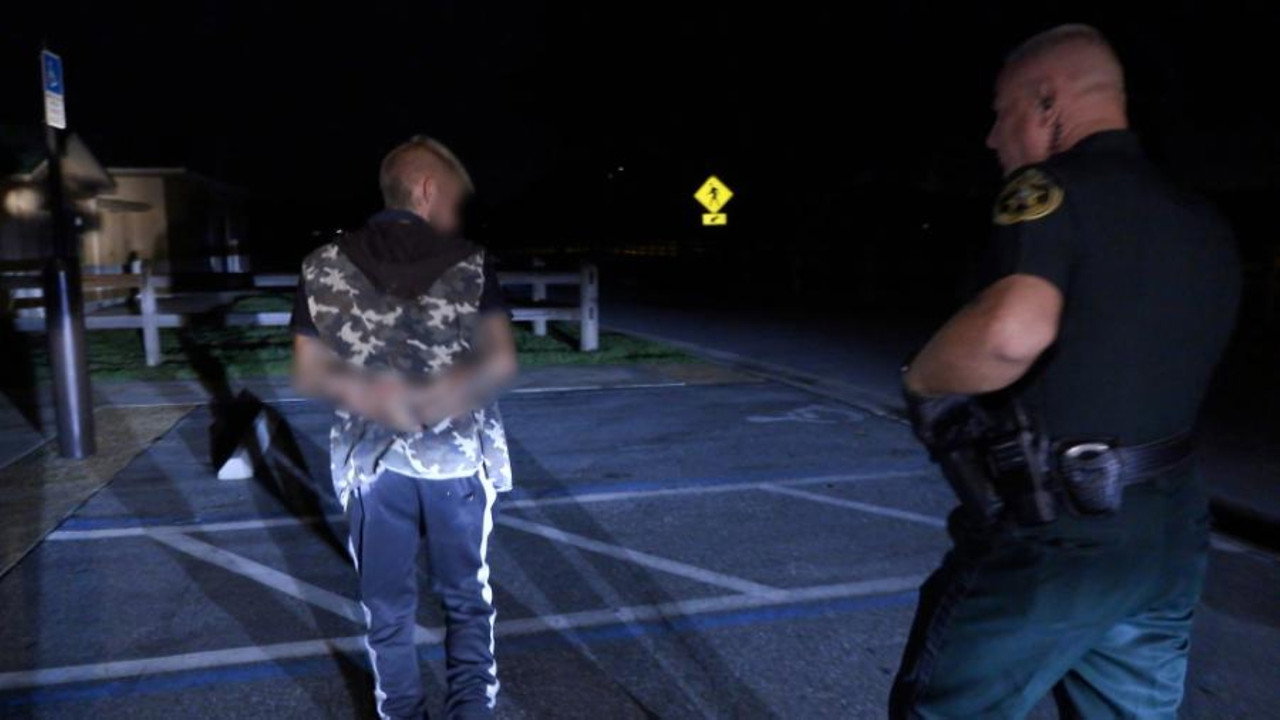 K9 Search