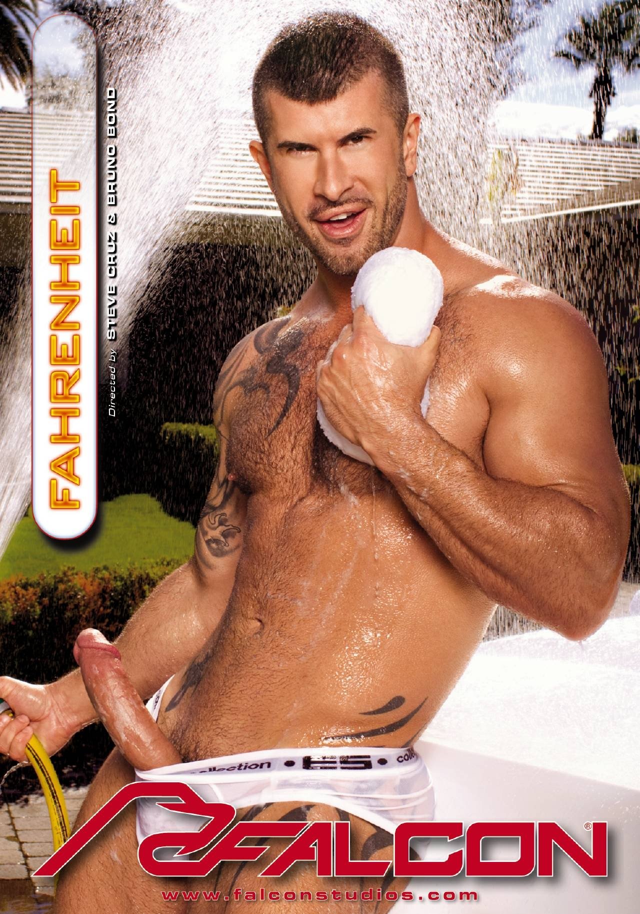 enlarged Poster 0