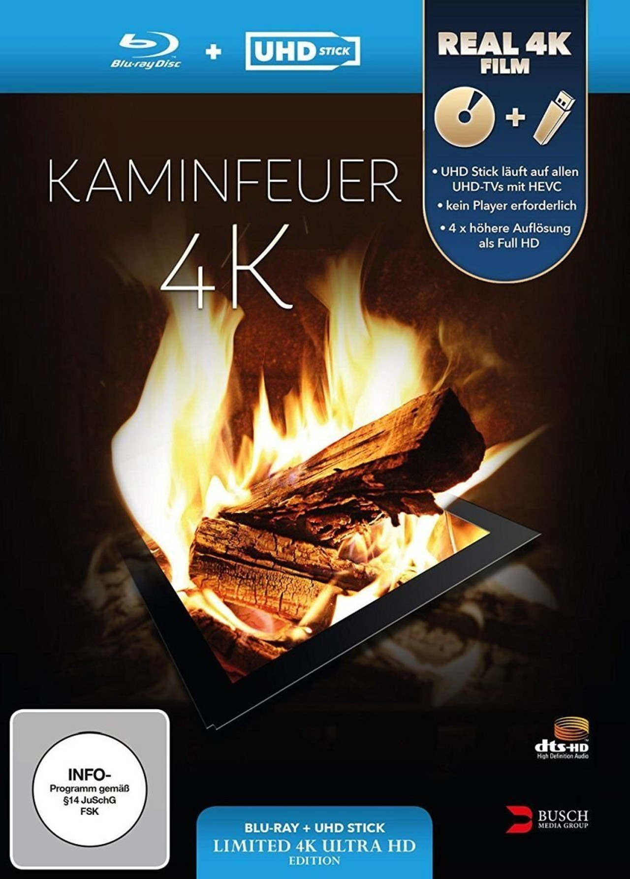 Kaminfeuer 4K