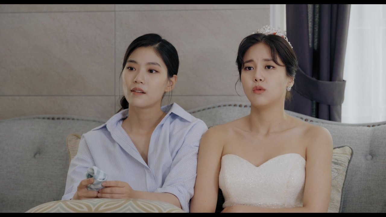 일편단심 민들레 backdrop
