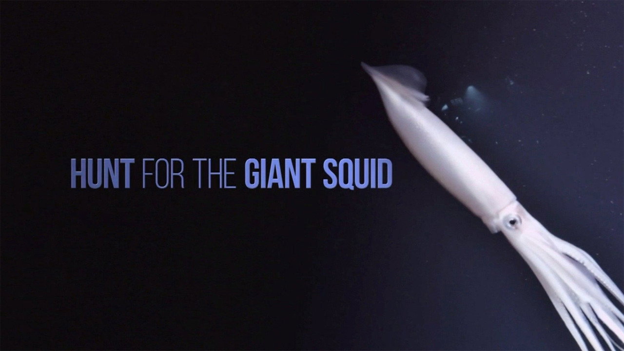 backdrop Hunt For The Giant Squid