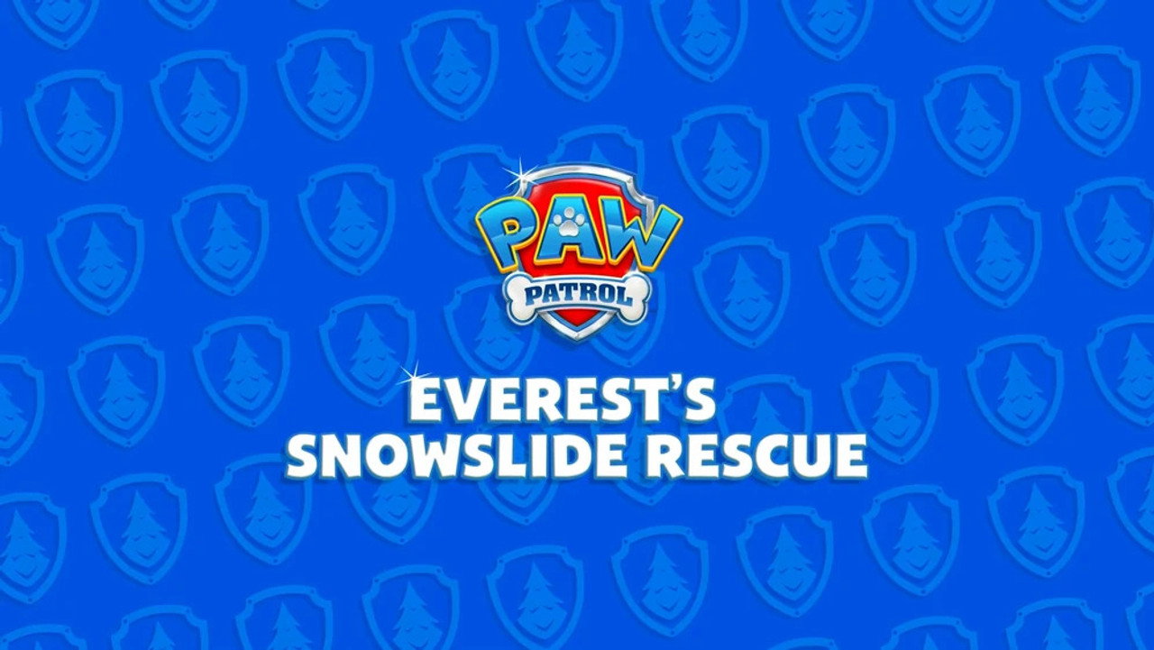 Everest's Snowslide Rescue