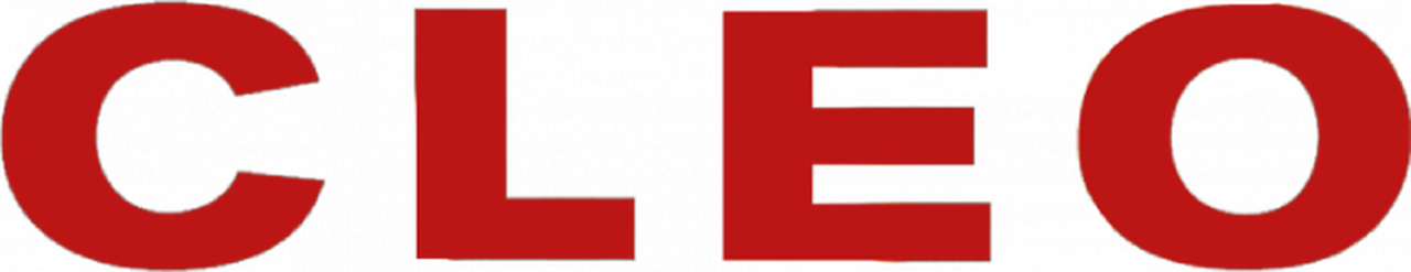 enlarged Logo 0