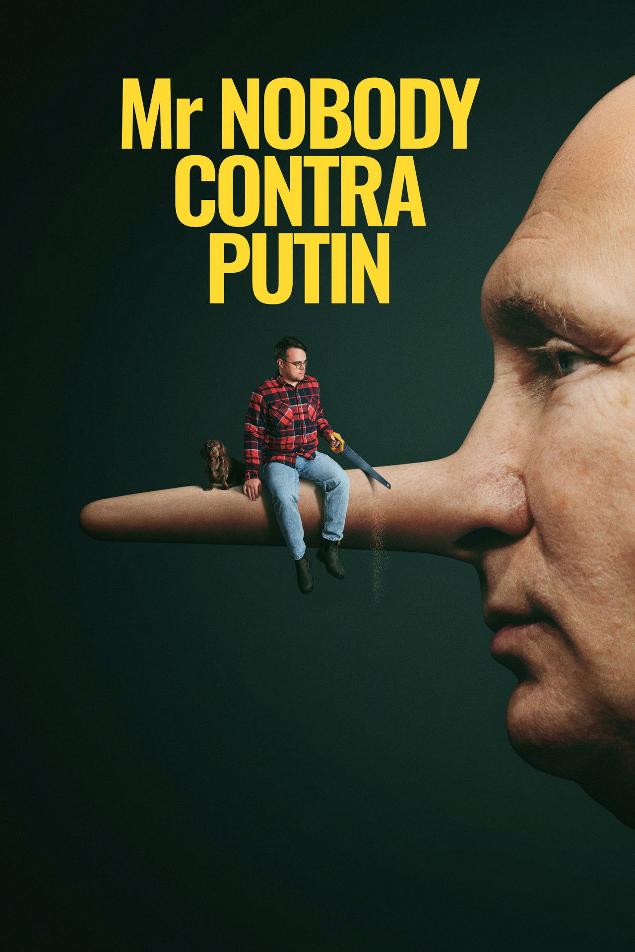 Poster of Mr. Nobody Against Putin