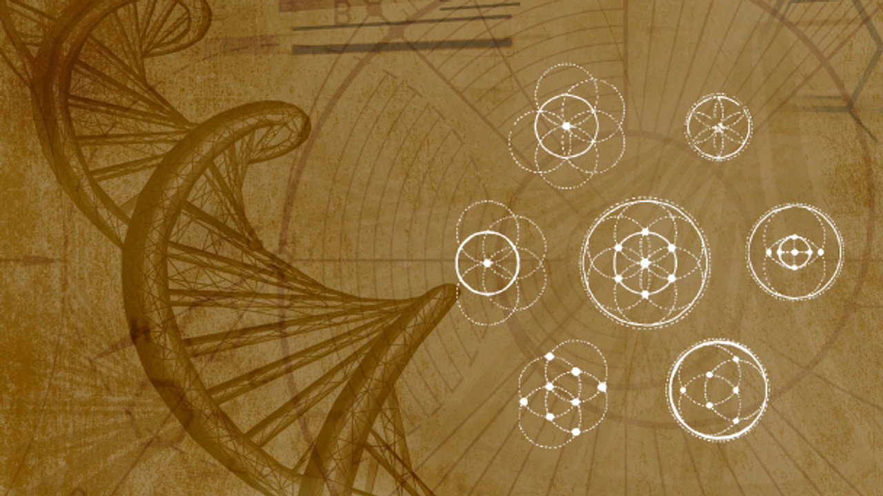 Harmonious Fractals
