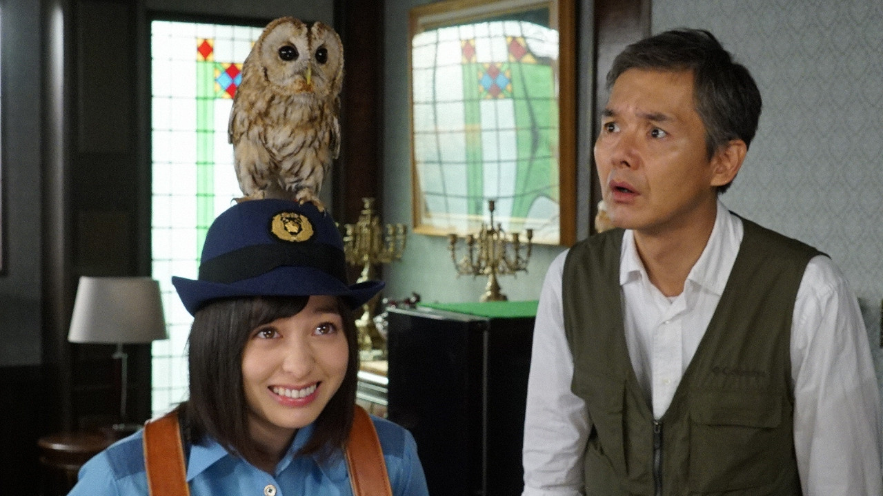 The Noisy Owl