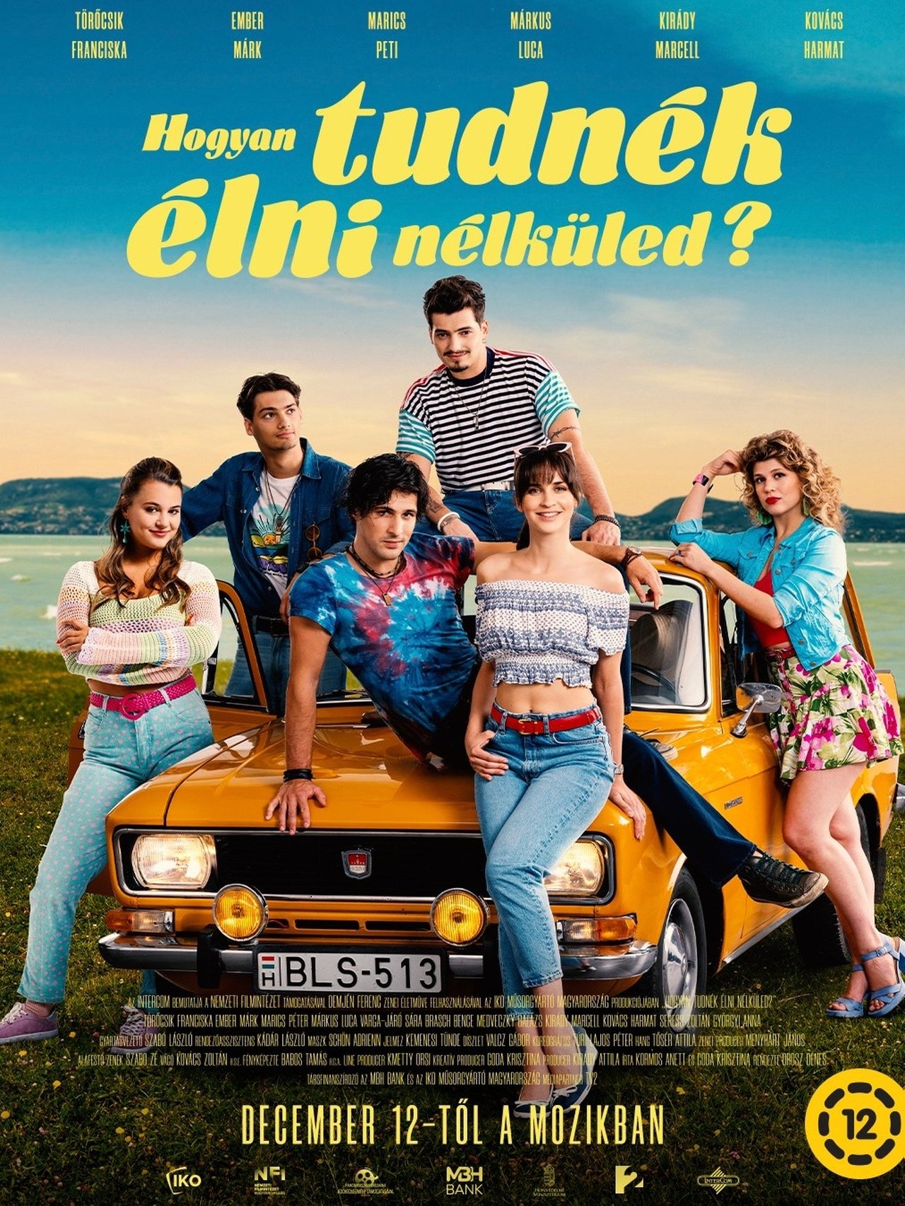 enlarged Poster 0