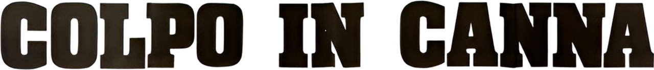 enlarged Logo 0