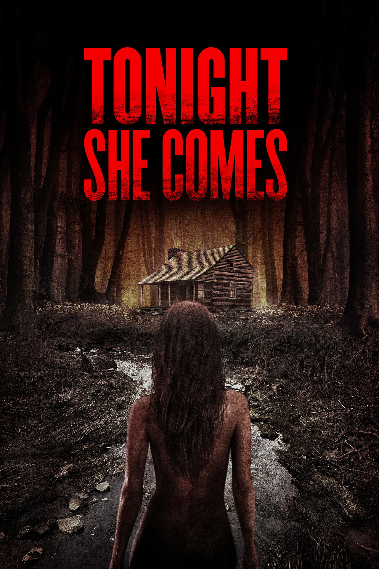 Tonight She Comes