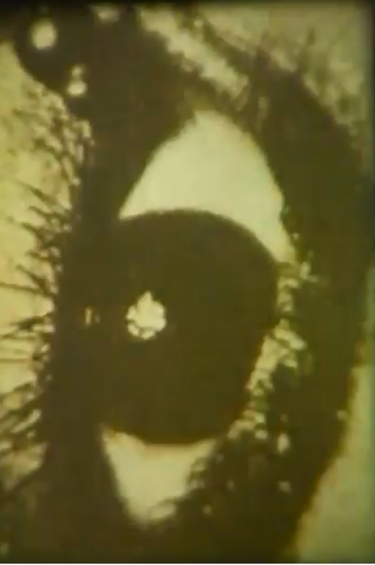 enlarged Poster 0