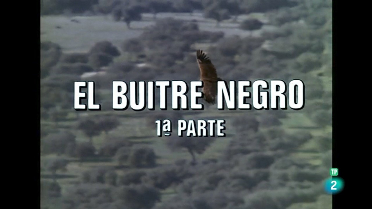 The Black Vulture I