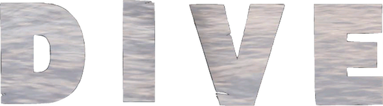enlarged Logo 0
