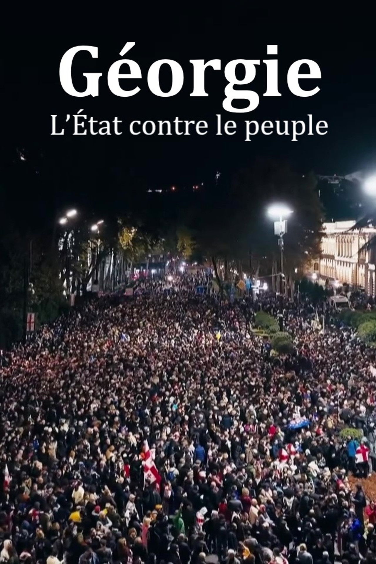 Géorgie : l’État contre le peuple
