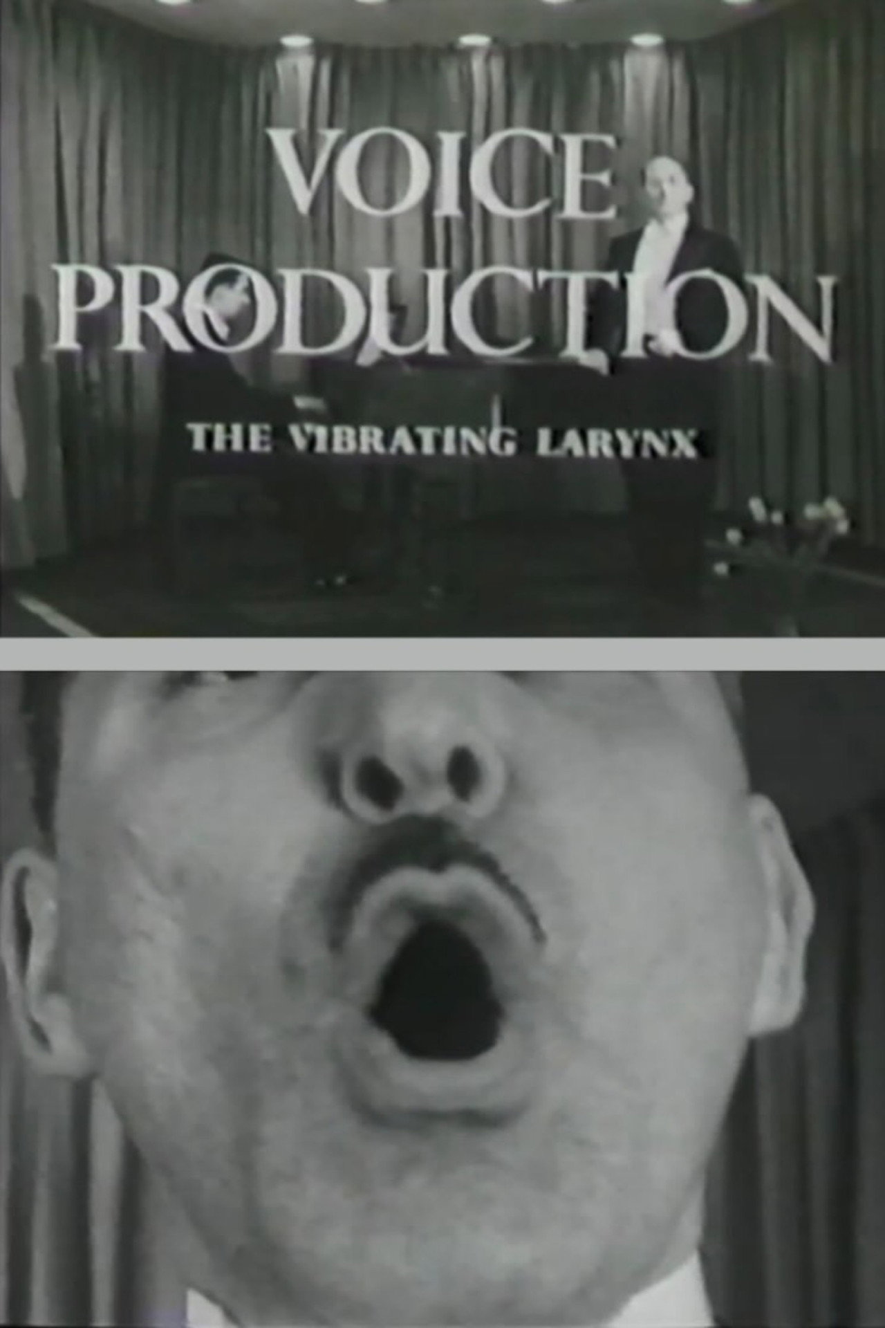 Voice Production: The Vibrating Larynx