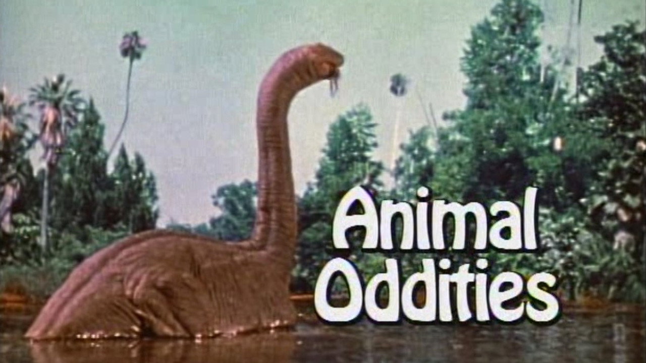 Animal Oddities
