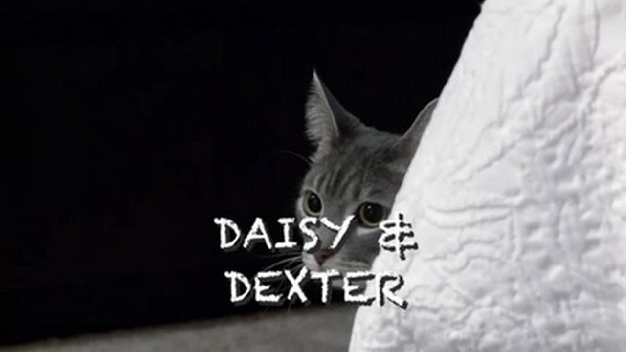 Stalking Miss Daisy