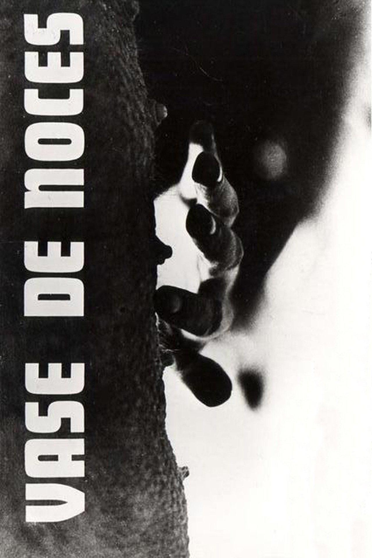 enlarged Poster 0
