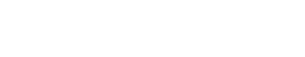 enlarged Logo 0