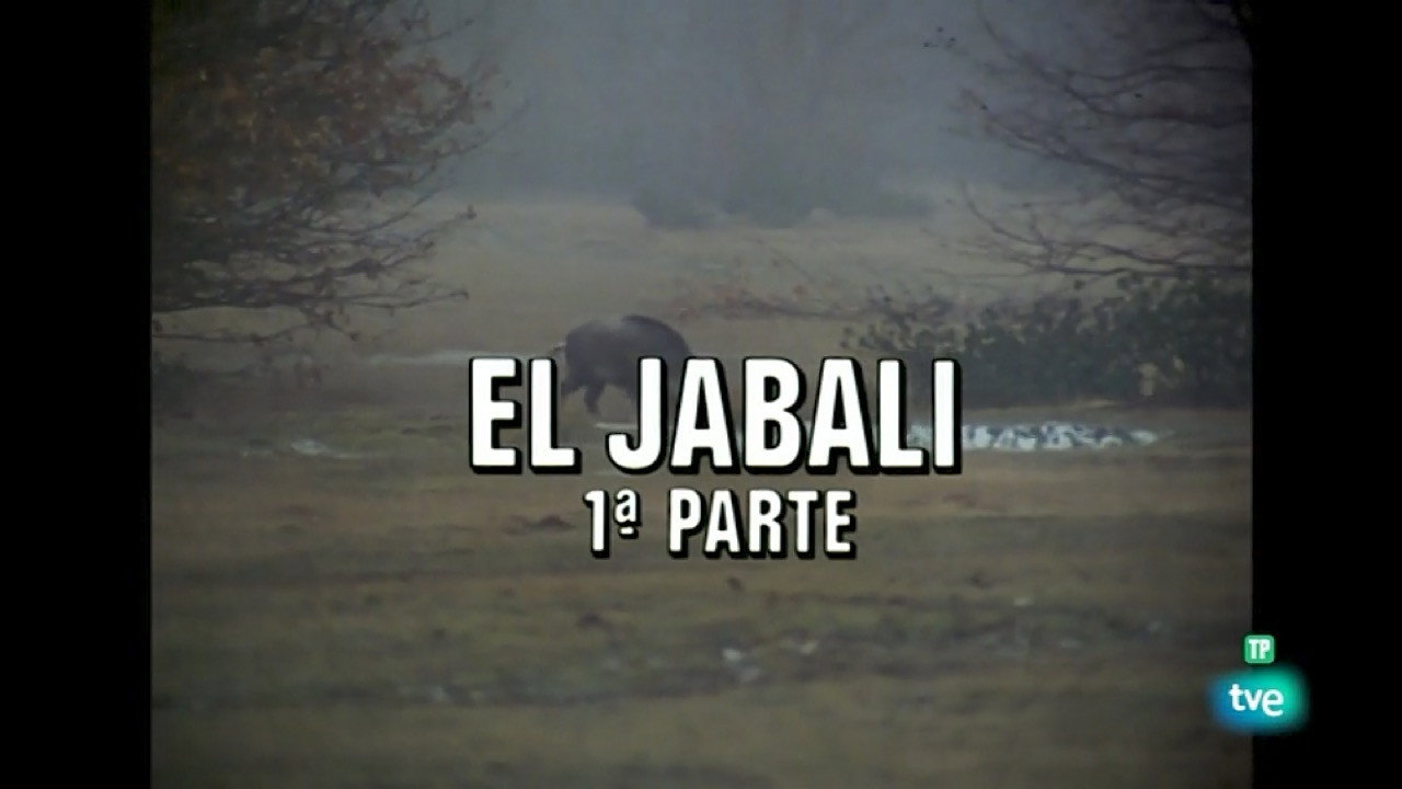 The Wild Boar I