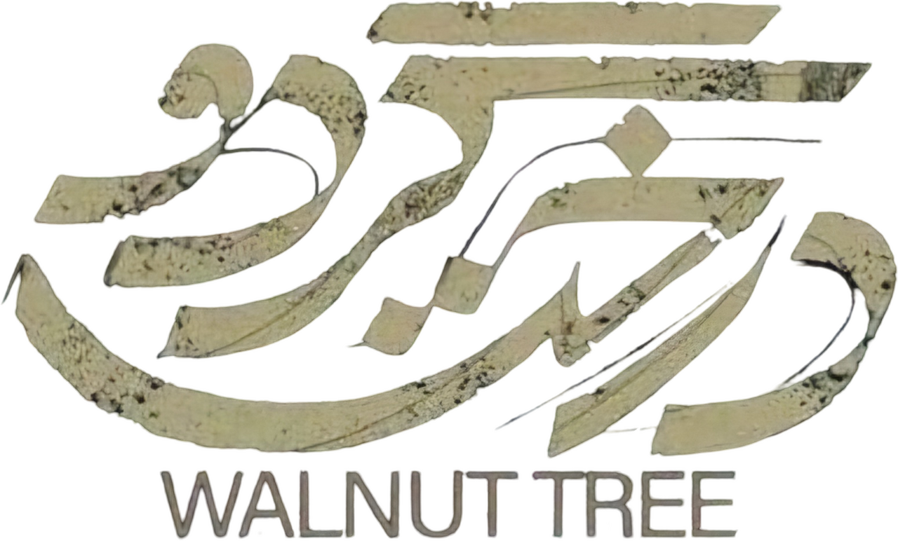 enlarged Logo 0