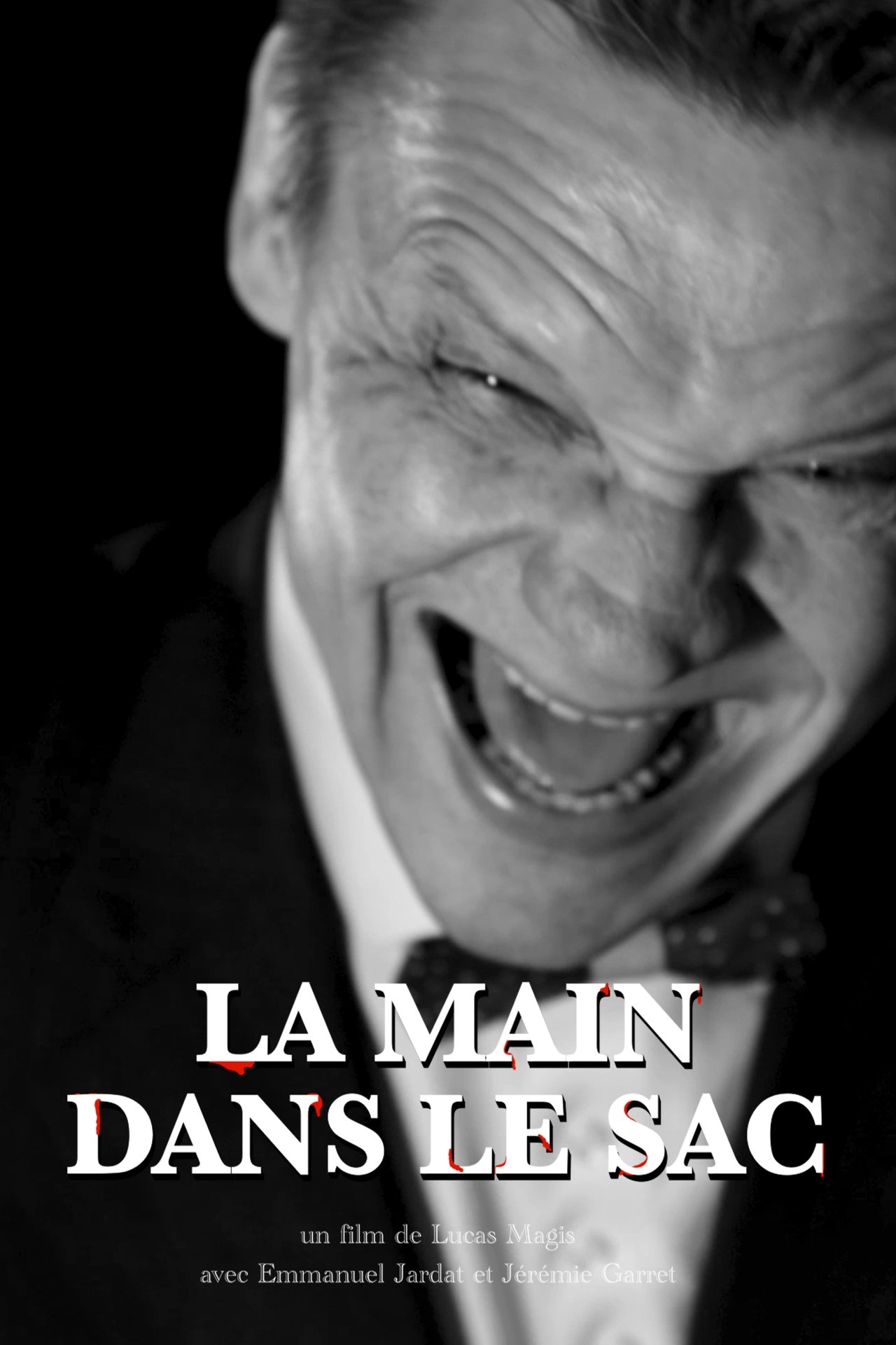 enlarged Poster 0