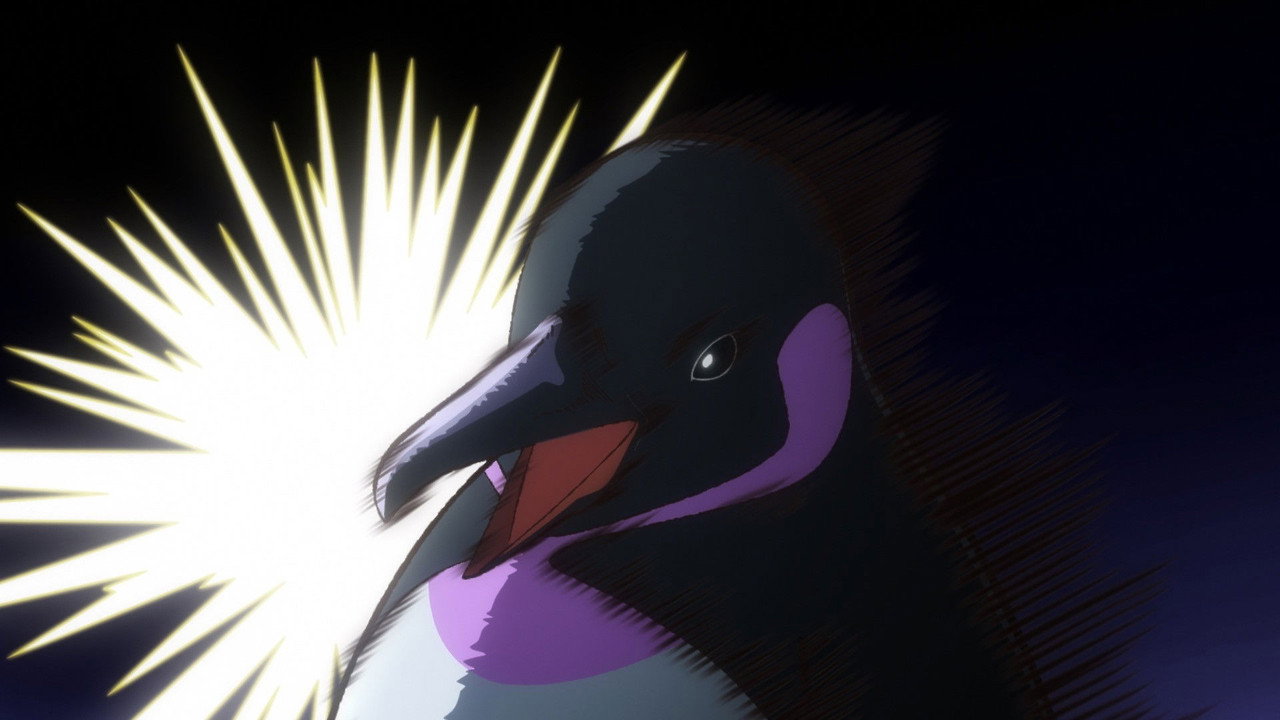 Episode 19