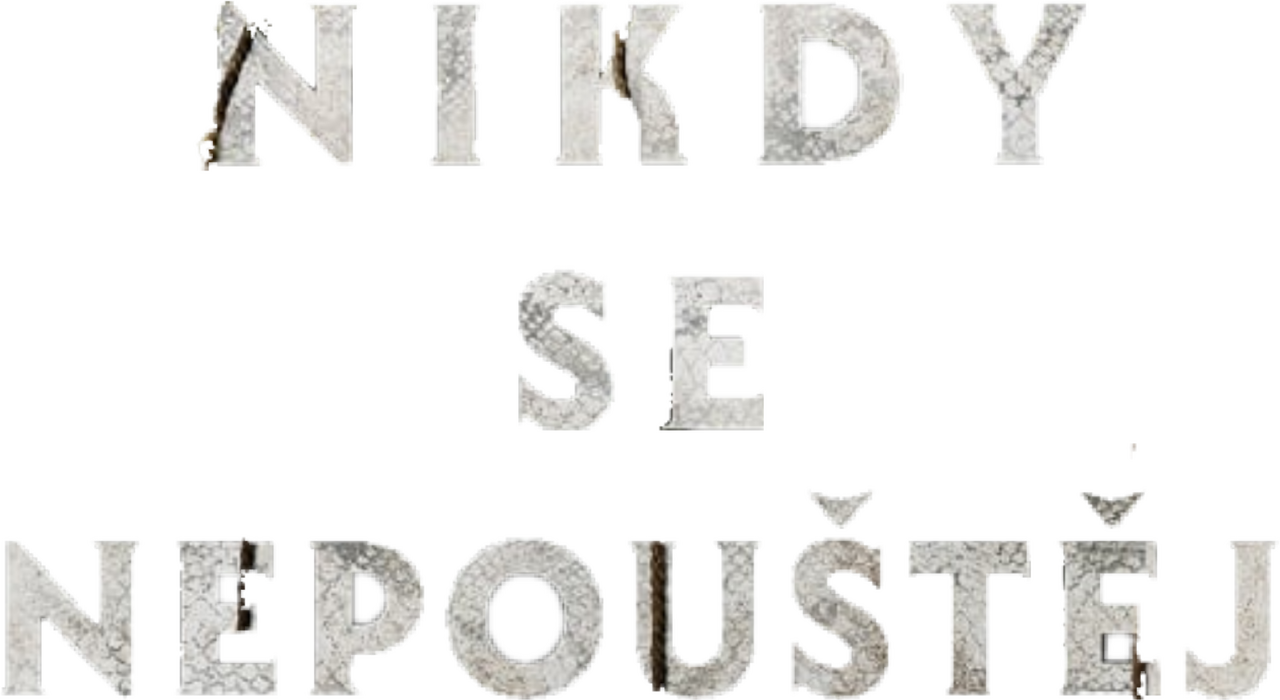 enlarged Logo 0