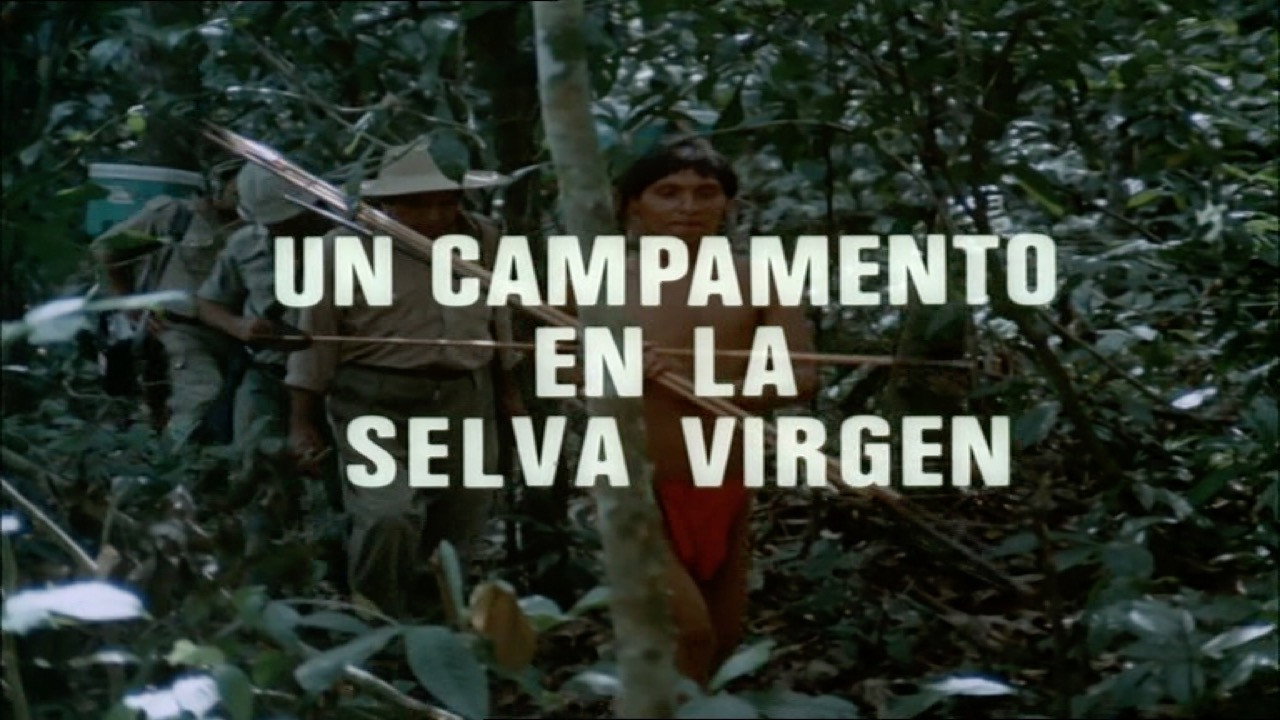 A Camp in the Virgin Jungle