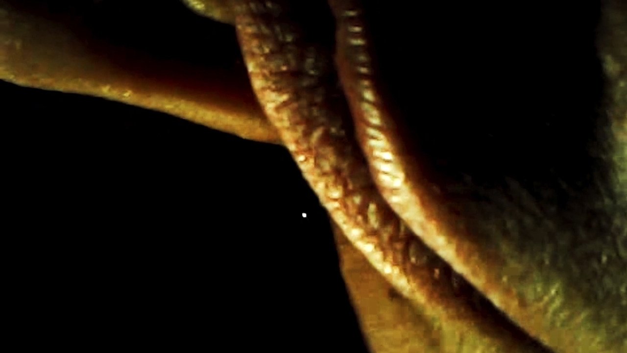 enlarged Backdrop 0