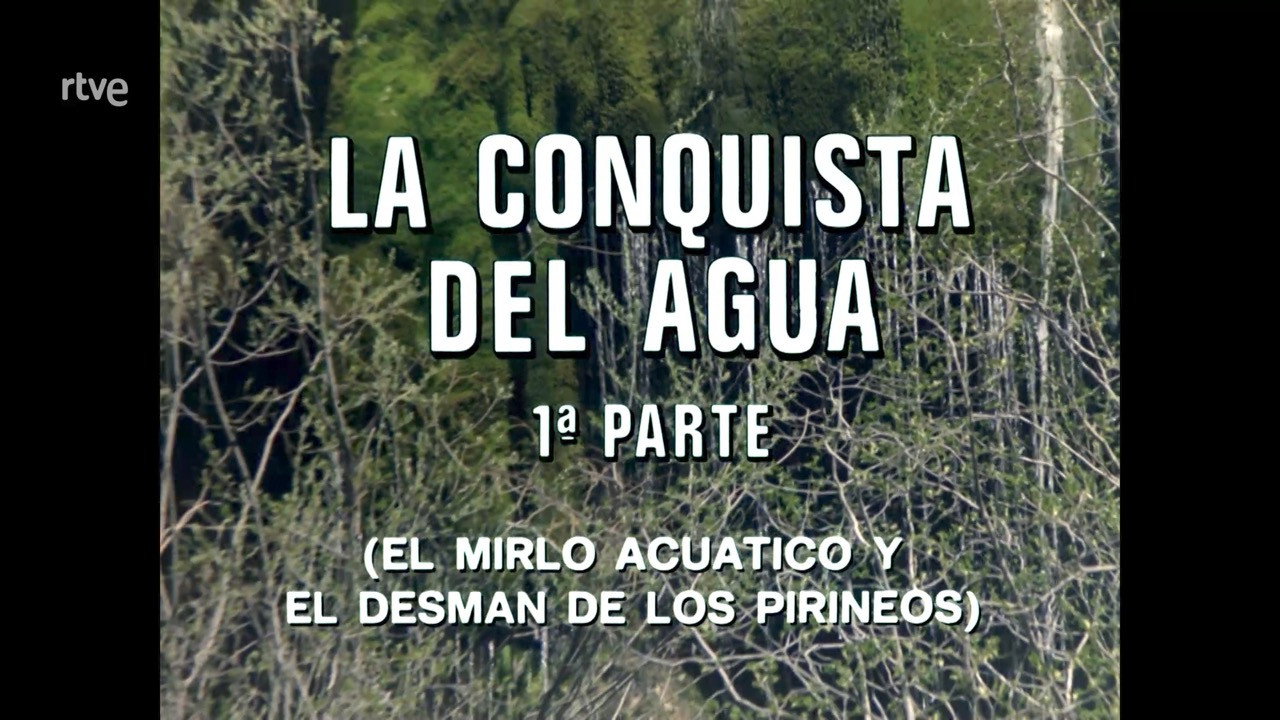 The Conquest of Water I