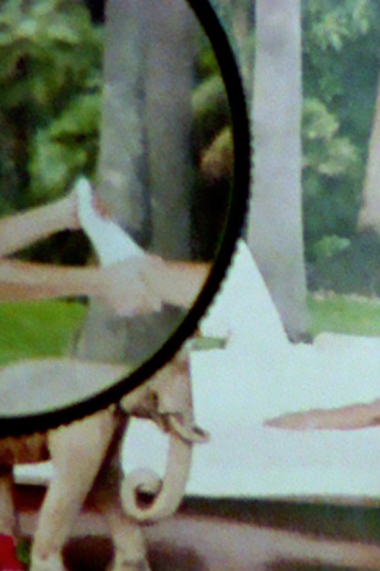 enlarged Poster 0