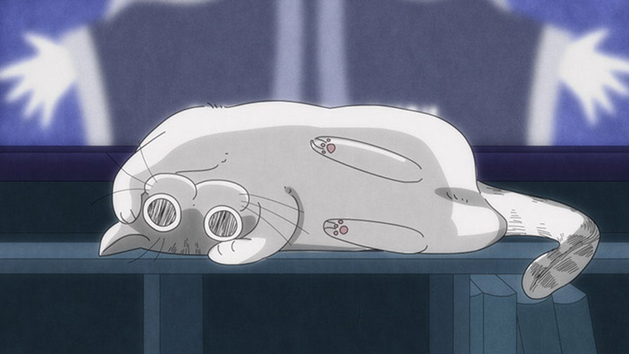 Night 27: The Movie-Interrupting Cat