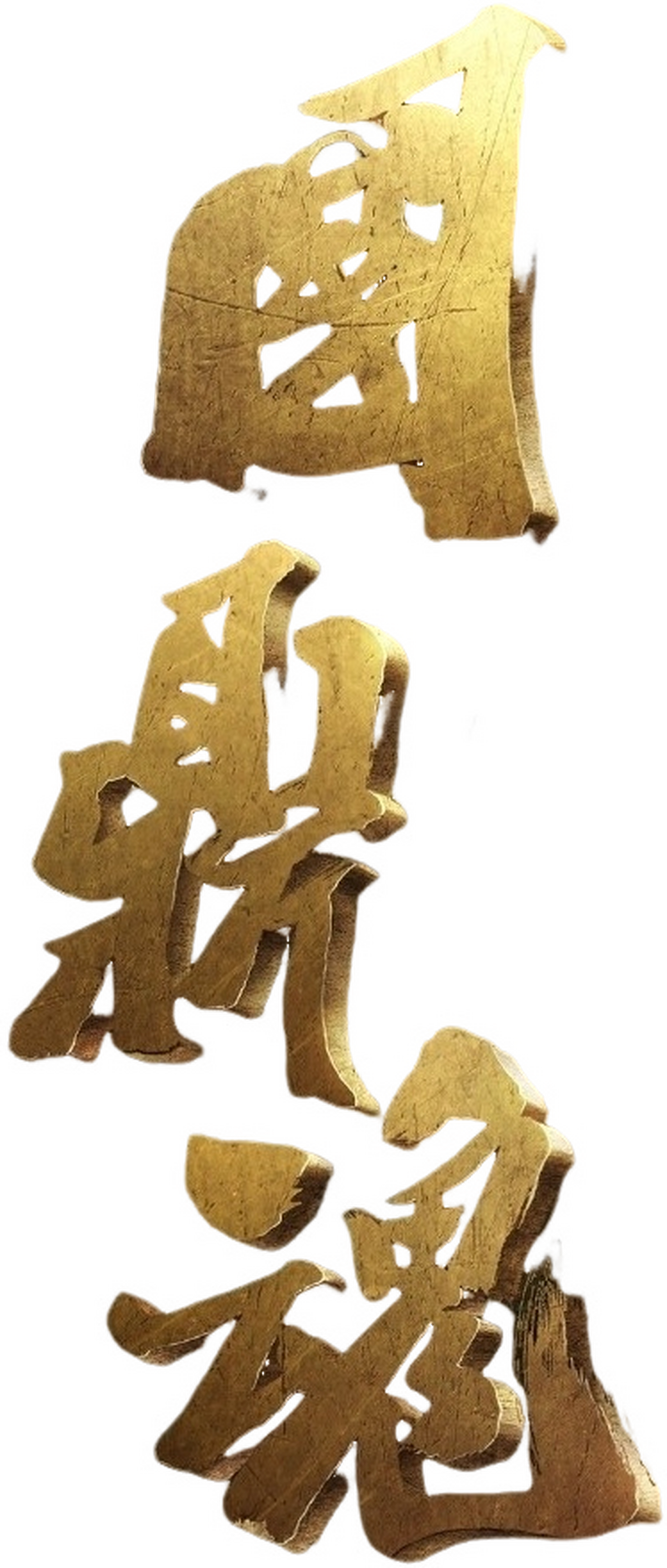 enlarged Logo 0