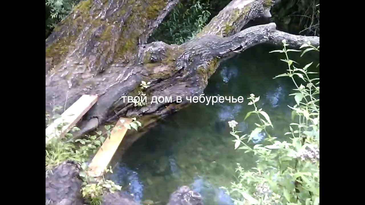 your house in the Cheburechie