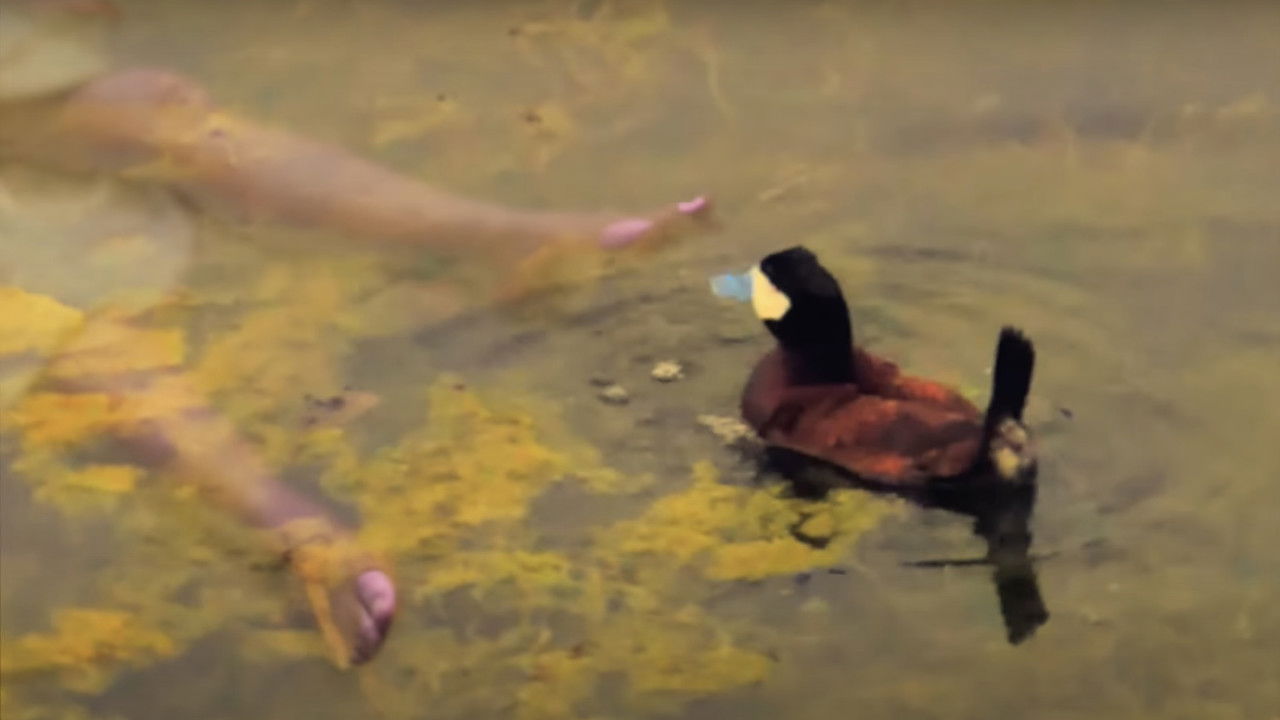 backdrop HEAD ON THE LINE